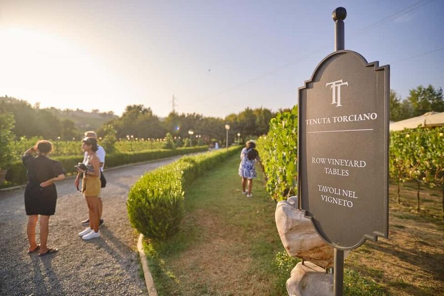 From Florence: Wine Tasting and Dinner in Chianti Vineyards - A first winery focused on wine, olive oil, and method