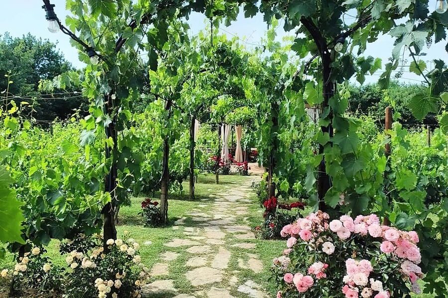 From Livorno: Authentic italian Pasta Cooking Class - From Livorno’s port to the Tuscan hills