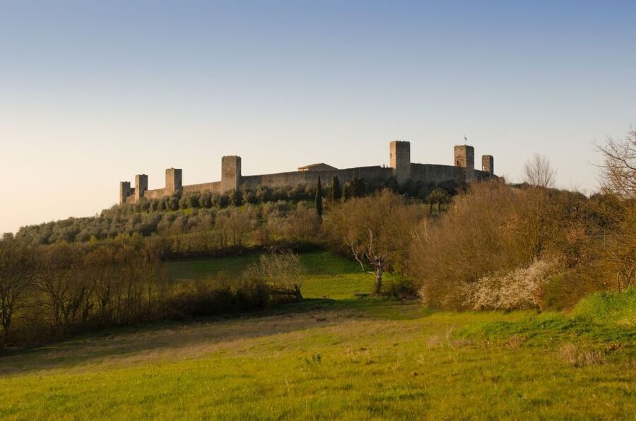Full-Day Excursion to Siena, San Gimignano & Chianti - The driver matters on a countryside day