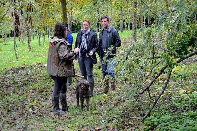 Full-Day Small-Group Truffle Hunting in Tuscany with Lunch - Key points at a glance