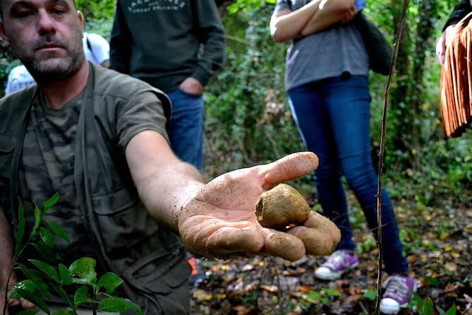 Full-Day Small-Group Truffle Hunting in Tuscany with Lunch - Practical details before you book