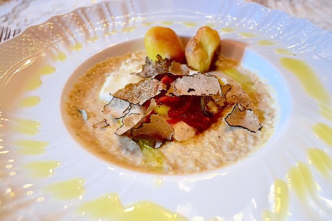 Full-Day Small-Group Truffle Hunting in Tuscany with Lunch - Following a trained dog through the woods