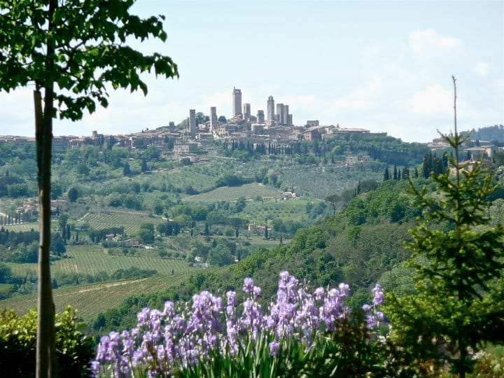 Full-Day Tour of Tuscany from Florence-small group up 8 pax - What the small group changes