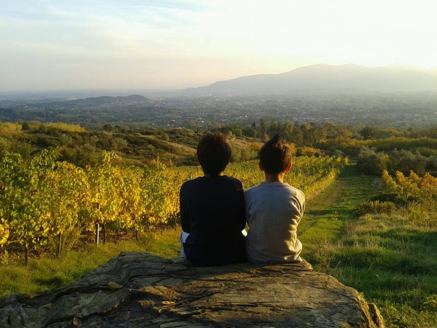 Full-Day Tour of Tuscany from Florence-small group up 8 pax - Is $589 a fair price?