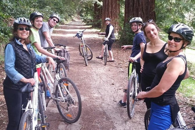 Full-Day Tuscan Countryside Bike Tour - What the tour does well, and where it falls short
