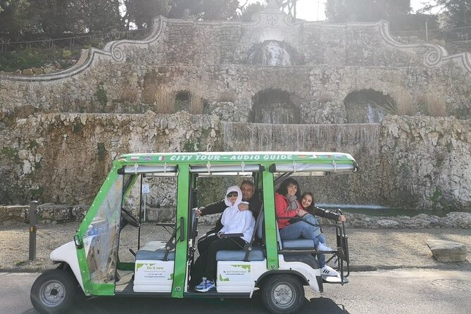 Golf Cart Tour to Fiesole Roman Theatre and Museum - What the guides add to the ride