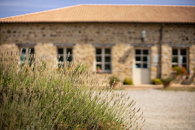 Gourmet Wine & Food Tasting - The setting: Corte Pavone near Montalcino
