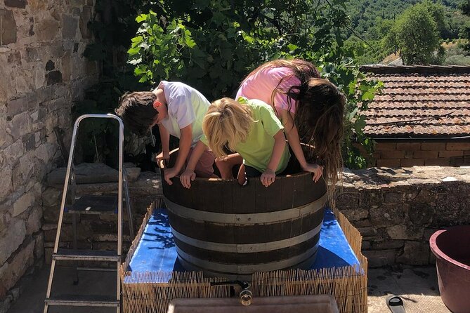 Grape Stomping Experience and Wine Tasting - Stomping grapes the old-fashioned way