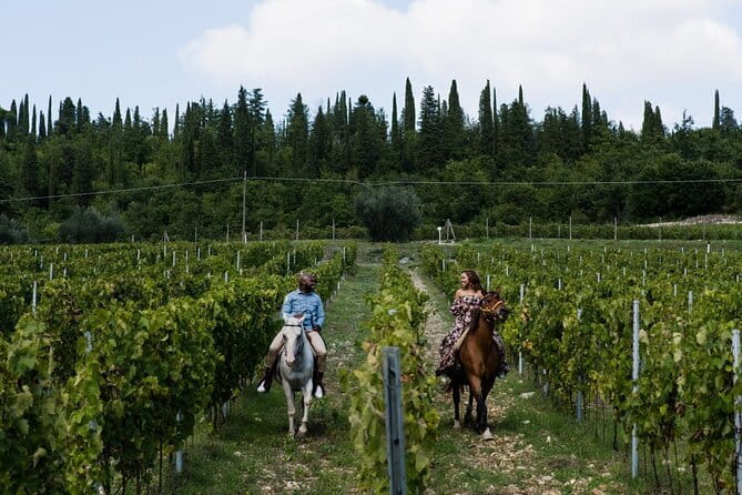 Grape Stomping Experience and Wine Tasting - Bottling the wine you help create