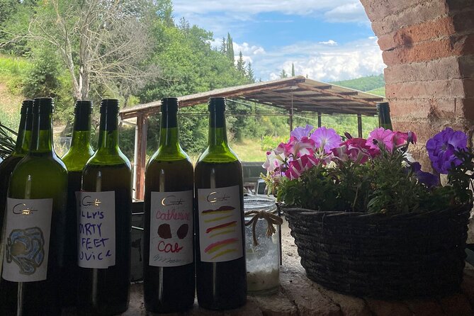 Grape Stomping Experience and Wine Tasting - Is $178.71 per person good value?