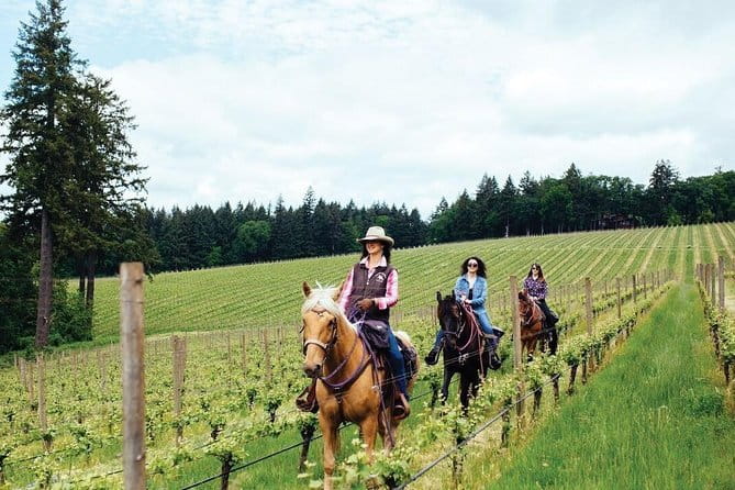 Grape Stomping Experience and Wine Tasting - Getting to the meeting point near Florence