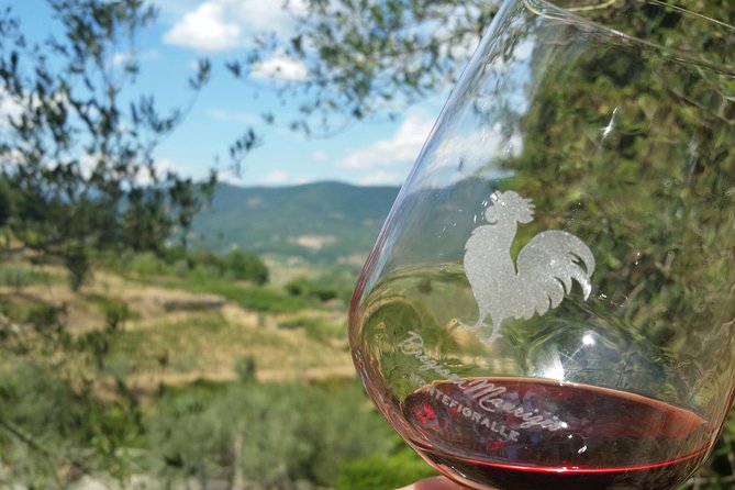 Greve in Chianti Wine Tasting and Winery Tour - A working farm above Greve in Chianti