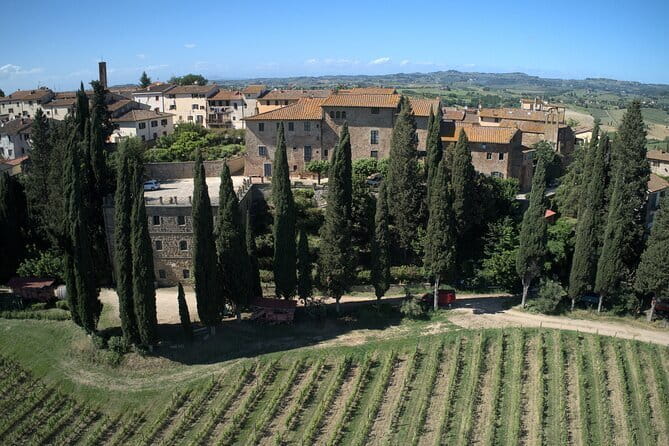 Guided tour with wine tasting and local organic products - Key points to know before you book