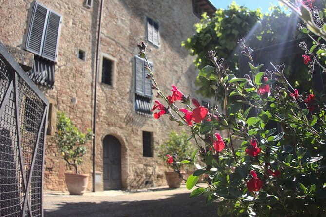Guided tour with wine tasting and local organic products - The terrace view and the San Gimignano connection