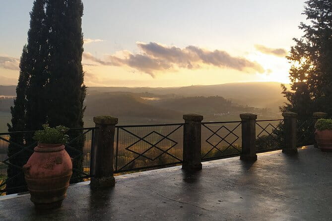 Guided tour with wine tasting and local organic products - From vineyards to tuff-dug cellars