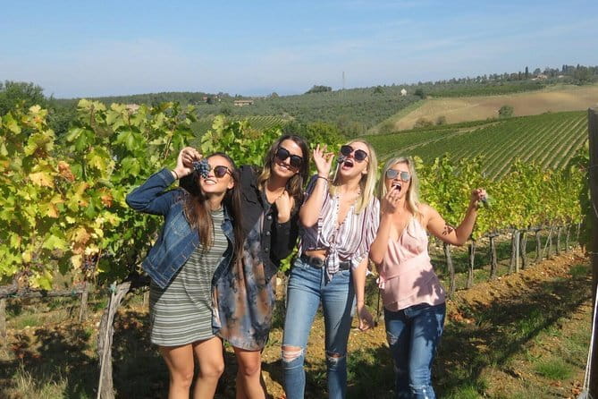 Half-day Chianti Classico Wine tour from Florence - Small Group - Second winery on Strada Statale 222