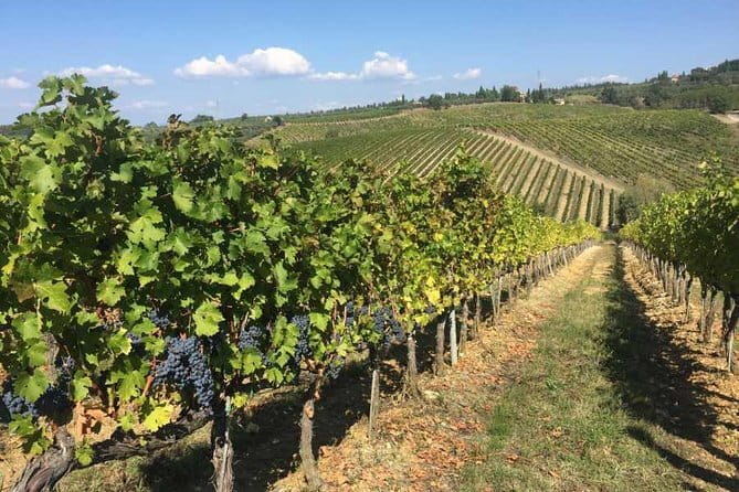 Half-day Chianti Classico Wine tour from Florence - Small Group - The return to Florence