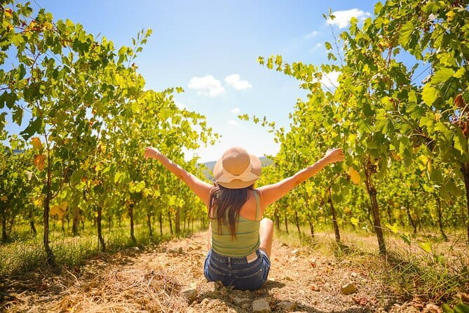 Half day Chianti Vineyard Escape from Florence with Wine Tastings - Two wine estates, two different moods