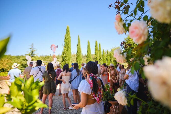 Half-day Experience to San Gimignano Hills with Picnic and Wine - The picnic and Vernaccia tasting