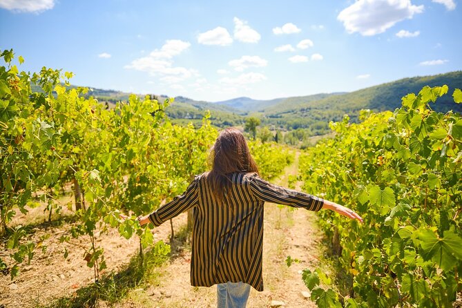Half-day Experience to San Gimignano Hills with Picnic and Wine - Transport, timing, and comfort