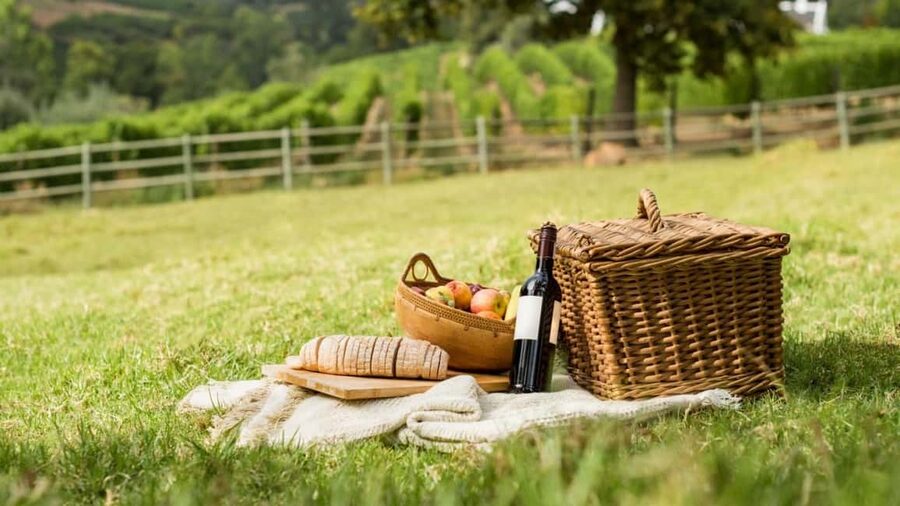 Half-day Hills Experience to San Gimignano with Pic Nic Wine - Should You Book the San Gimignano and Wine Picnic Tour?