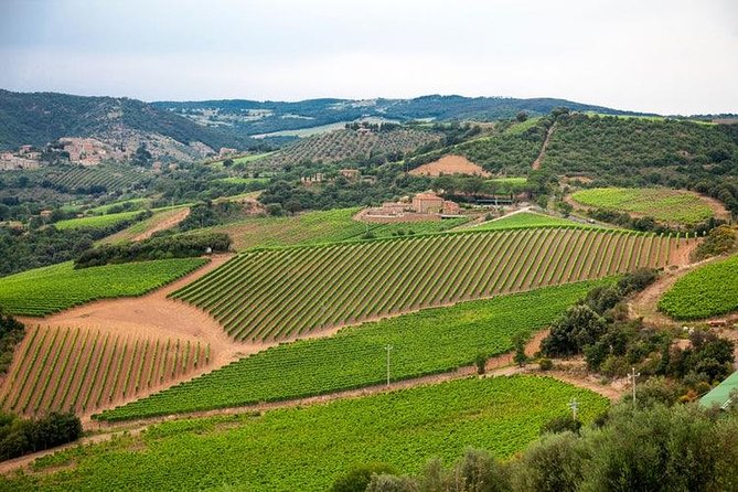 Half Day Tour Chianti Winery with San Gimignano - San Gimignano and its towers