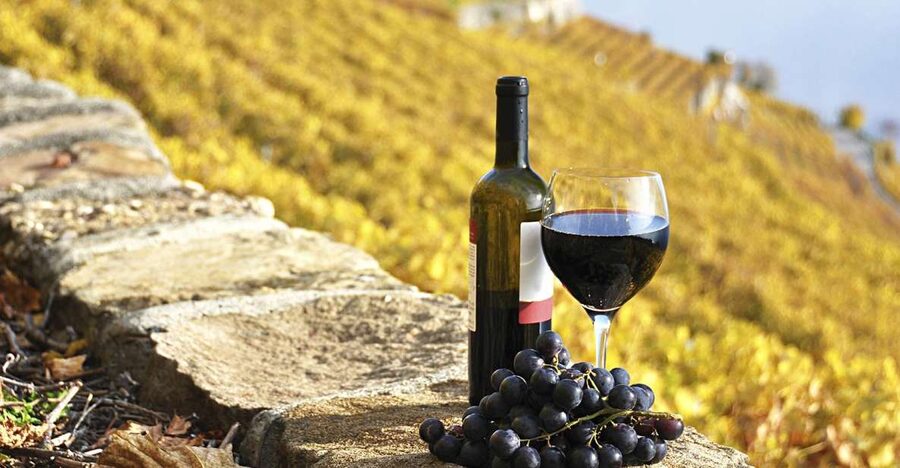 Half-Day Tour from Florence: Chianti Colors & Flavors - Leaving Florence for the Chianti hills