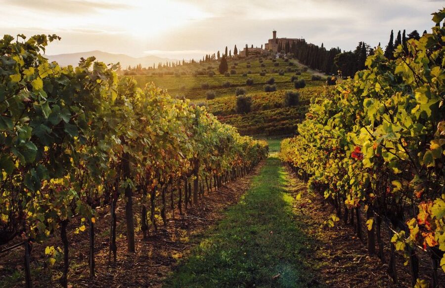 Half-Day Tour from Florence: Chianti Colors & Flavors - Greve in Chianti and the panoramic photo stop
