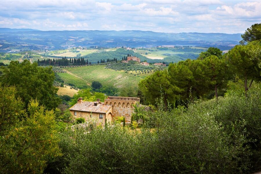 Half-Day Tour of San Gimignano From Florence - Why San Gimignano earns its medieval Manhattan nickname