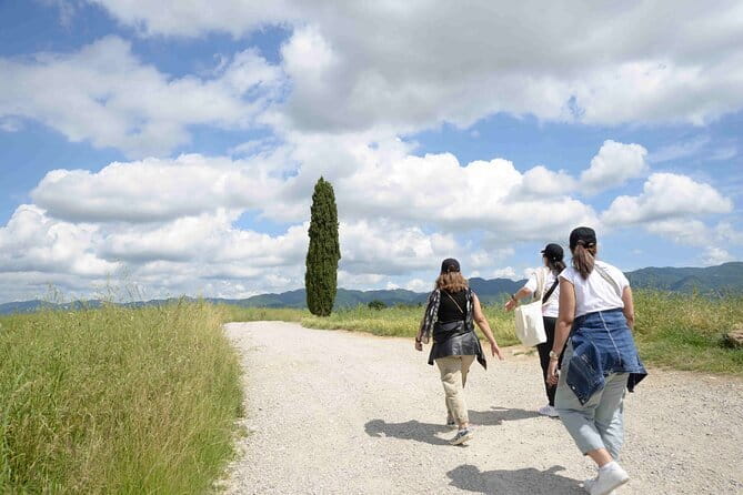 Hike & Wine Tour - From Florence to the Mugello Hills