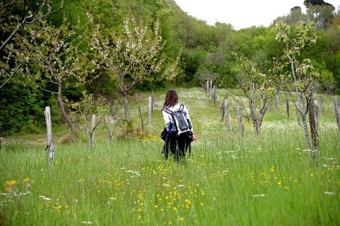Hike & Wine Tour - Should You Book the Hike and Wine Tour?