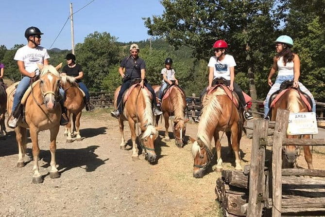 Horse ride in the Mugello (transfer from / to Florence) and Tuscan aperitif - Why Mugello is a smart change from central Florence