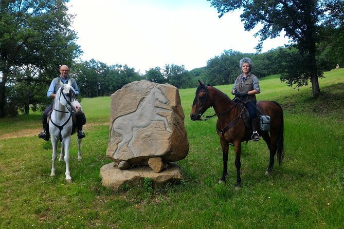 Horseback riding & Wine Tasting and snack Lunch at noble Estate - Riding through vineyards and olive groves