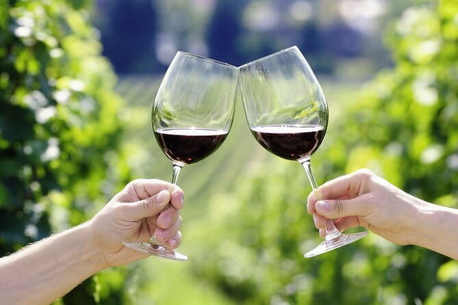 Horseback Riding with Wine Tour from Florence - Meeting your horse near San Gimignano