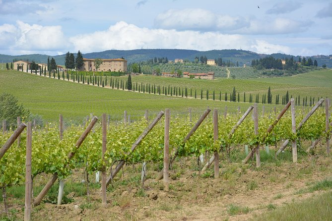 It's Wine Time! 2 wineries & farm-to-table lunch—max 8 pp - What to bring and how to prepare