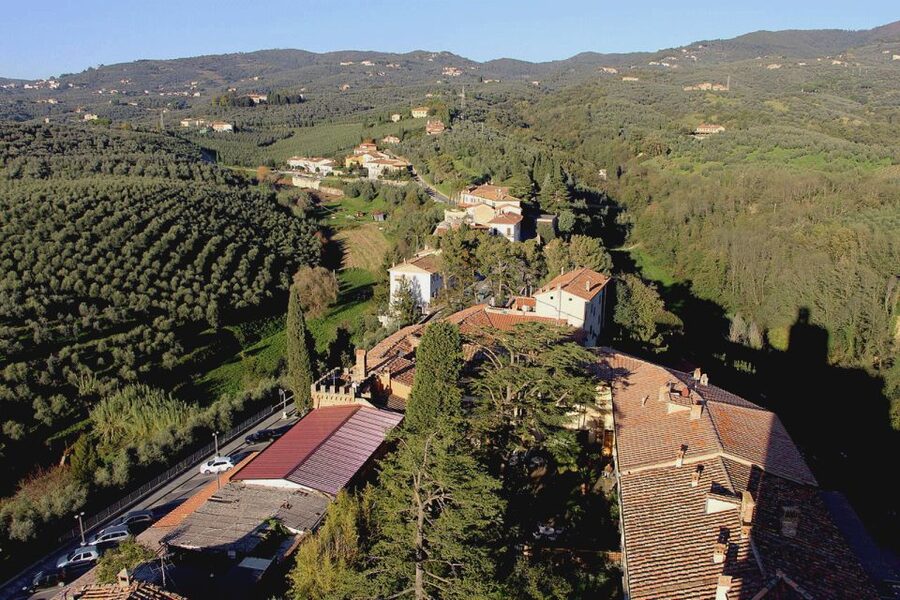 Leonardo da Vinci's Homeland Private Excursion from Florence - From Florence to Vinci in a private minivan