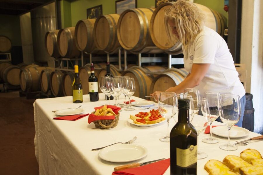 Leonardo da Vinci's Homeland Private Excursion from Florence - Booking details that matter