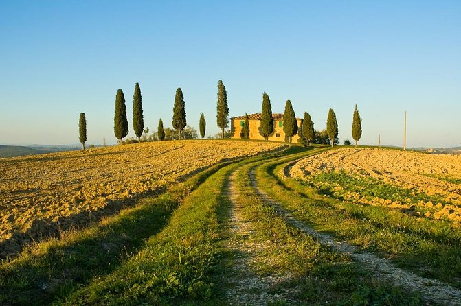 Livorno Shore Excursion: Chianti and Tuscany Countryside Private Wine Tour - A Private Tour, With Real Value and Real Limits