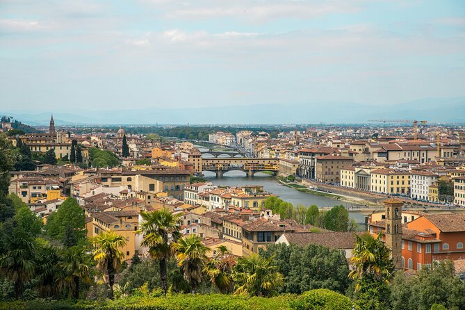 Michelangelo’s David & Medici Treasures Accademia Gallery Tour - Michelangelo and the Medici connection