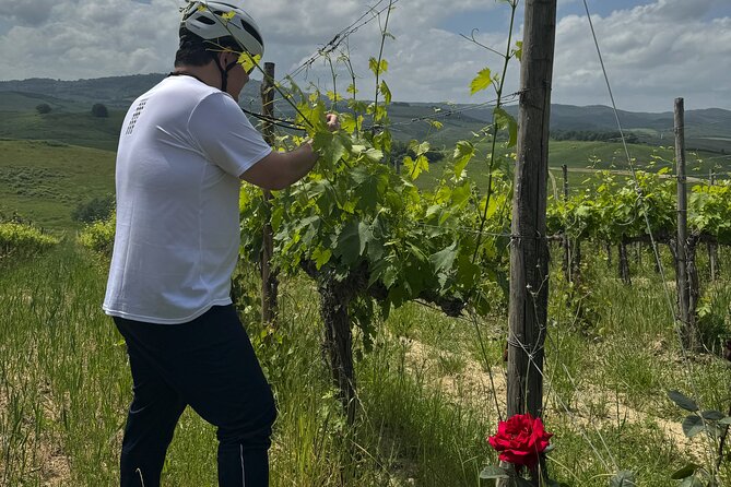 MONTALCINO Private E-Bike & Brunello Winery Experience - Inside Colsereno’s Rosso and Brunello tasting