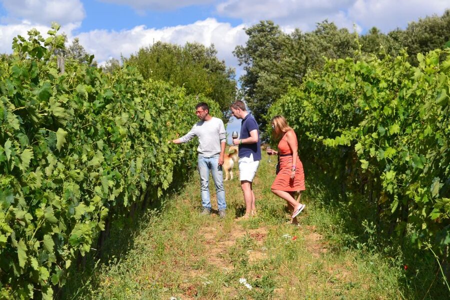 Montalcino: Small-Group Brunello Wine Tour from Florence - Small group comfort, with a few limits