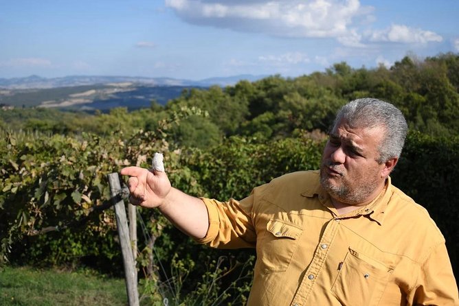 Montalcino wine tour - Piombaia adds biodynamic farming and lunch