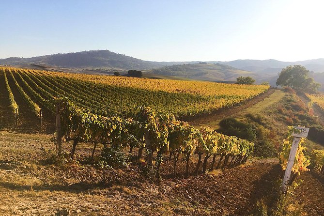 Montalcino wine tour - The Piombaia cellar visit after lunch