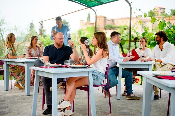 Montefioralle Winery - Tour and Wine Tasting in Chianti - The views are part of the experience