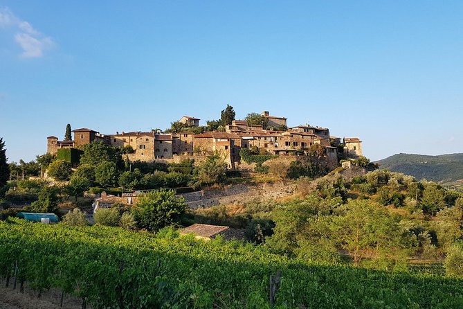 Montefioralle Winery - Tour and Wine Tasting in Chianti - What makes the family operation appealing