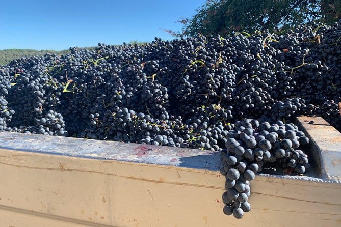 Montepulciano Pienza Montalcino Tour from Florence - Why this route works from Florence