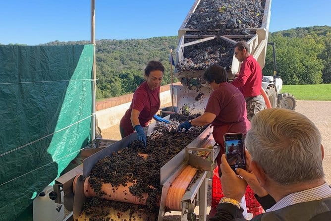Montepulciano Pienza Montalcino Tour from Florence - Pienza, small lanes and Pecorino shops