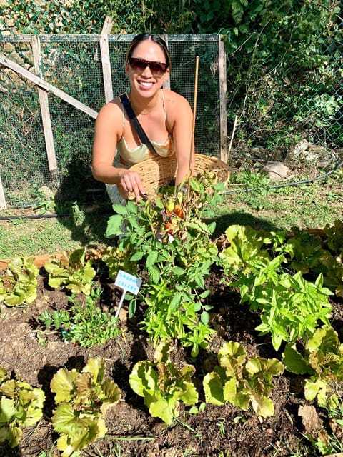 Pick Vegetables at the farm & Cook pasta - Walking through the vineyard and vegetable garden