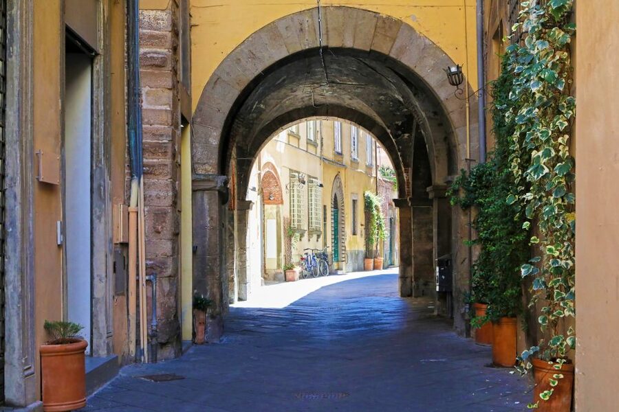 Pisa and Lucca: Private Full-Day Tour by Deluxe Van - Amphitheater Square and Lucca’s unusual shape