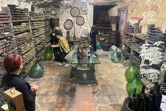 Pisa, Vinci, Tuscany, Wine tasting all in one day! - Small Group - The minivan and small-group difference